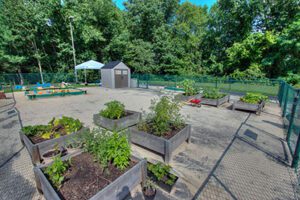 Sheldon child care FAQ and our outdoor garden