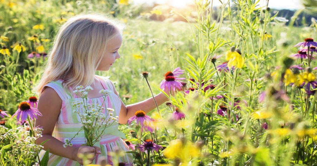 a child in a flower field